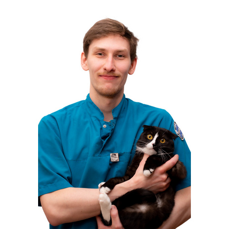  Сергеев Даниил Александрович